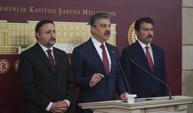 Türkiye, Uluslararası Adalet Divanı'nda 30 Nisan'da sözlü sunum yapacak