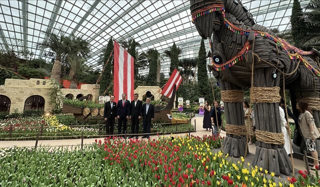 Singapur'da Türk Büyükelçiliğinin işbirliğiyle "Tulipmania 2025" lale sergisi açıldı
