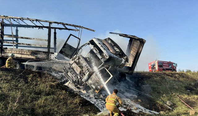 Şırnak’ta seyir halindeyken alev alan tır yandı