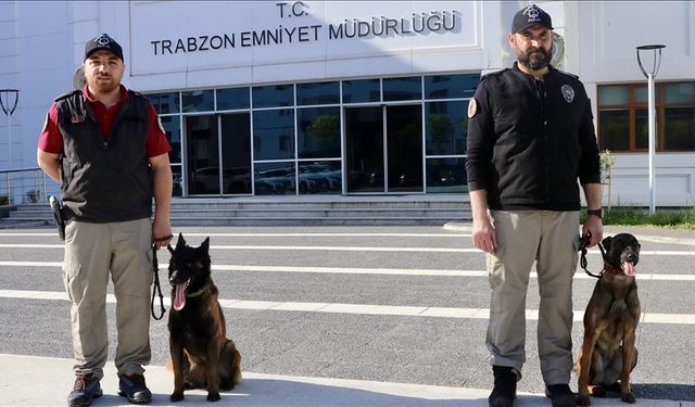 Trabzon'da hassas burunlar "Maya" ve "Liya" uyuşturucuyla mücadelede önemli rol alıyor