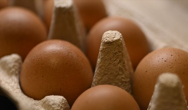 Yumurtada ihracat süreçleri ve fon kesintisi kararları fiyatları aşağı çekti