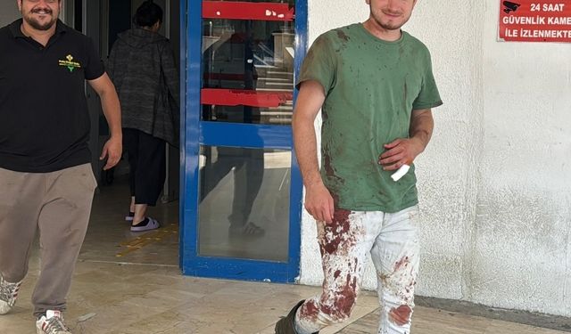 Trabzon ve çevre illerde 497 "acemi kasap" hastanelik oldu