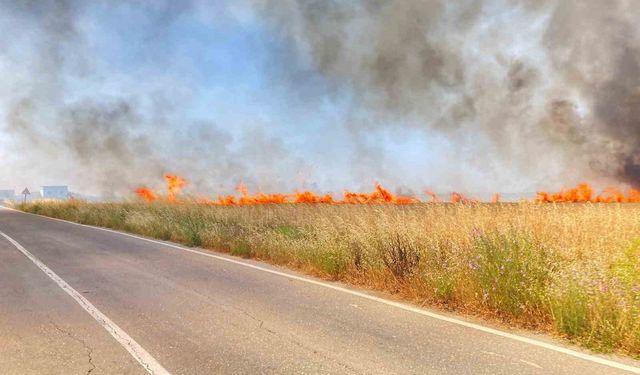 Tekirdağ’da 250 dönüm buğday yandı