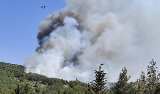 Balıkesir’deki orman yangınına müdahale ediliyor