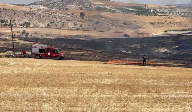 Anız yangını korkuttu