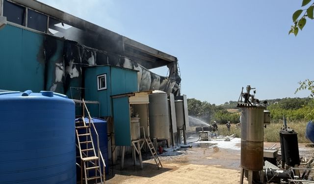 Çanakkale'de bir fabrikada patlama sonrası çıkan yangında 1 kişi yaralandı