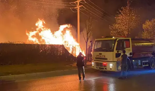 Bursa'da otluk alanda çıkan yangında 2 araç zarar gördü