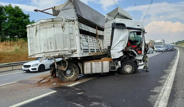 Samsun’da Tırla Çarpışan Hayvan Yüklü Kamyonet Kazası