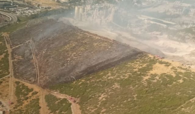 İzmir'de makilik alanda çıkan yangın kontrol altına alındı