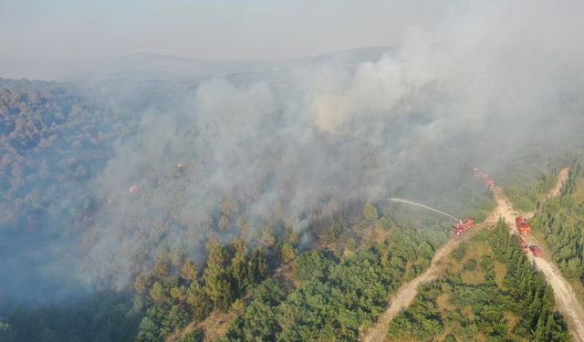 Balıkesir'de tarım arazisinde çıkıp ormanlık alana sıçrayan yangına müdahale ediliyor