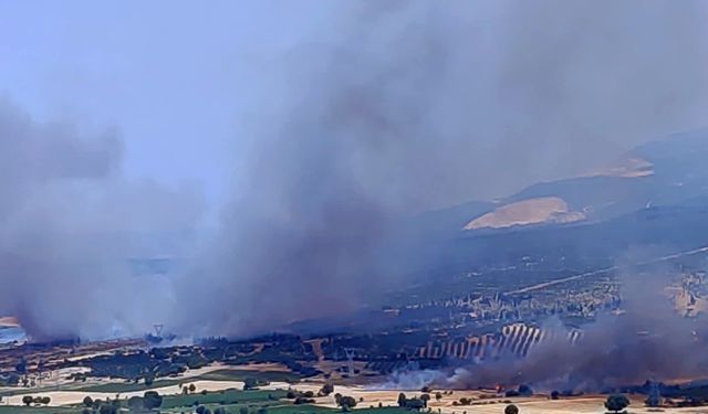 İzmir'de çıkan 2 orman yangını kontrol altına alındı