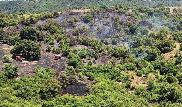 Balıkesir'de çıkan orman yangını kontrol altına alındı
