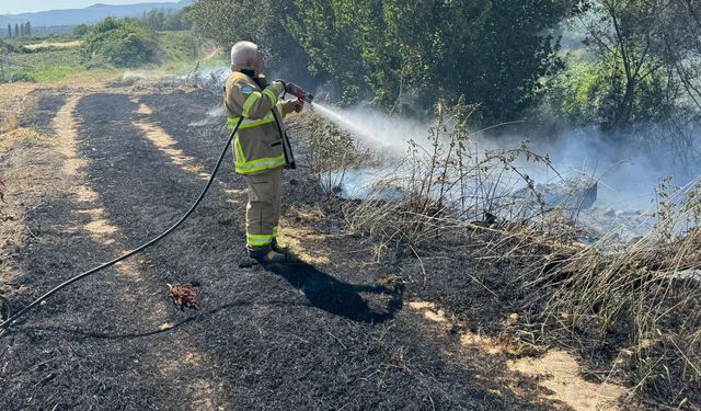 Balıkesir'de çıkan yangında 12 dekarlık arpa tarlası zarar gördü
