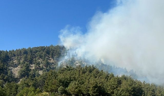 Bilecik'te çıkan orman yangınına müdahale ediliyor