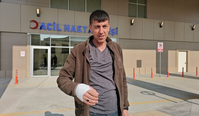 Erzurum, Erzincan, Kars ve Ardahan'da "acemi kasaplar" hastanelik oldu