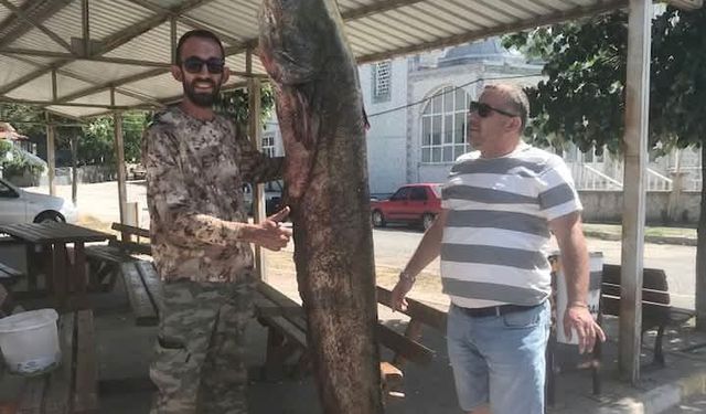 Meriç Nehri'nde 80 kilogramlık yayın balığı yakalandı