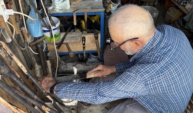 Tekirdağ'da bir çiftçi 22 yıldır ağaç oymacılığıyla uğraşıyor
