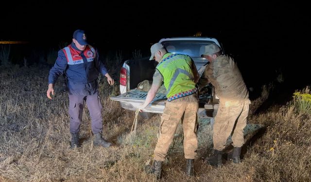 Van'da kaçak avlanan 1 ton 500 kilogram inci kefali suya geri bırakıldı