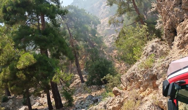 Antalya'da otobüste başlayıp ormana sıçrayan yangın söndürüldü