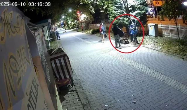 Aydınlatma Direklerine Zarar Verdiler, Güvenlik Kameralarına Yakalandılar