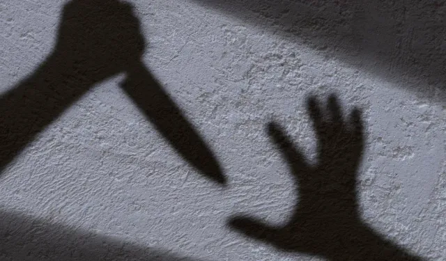 Adana'da husumetlisini bıçakla yaraladığı iddia edilen sanık hakkında dava açıldı