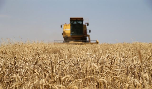 Çiftçilere yaklaşık 263 milyon lira tarımsal destekleme ödemesi yapılacak