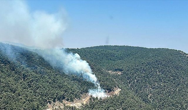 Manisa'da kontrol altına alınan orman yangını yeniden başladı