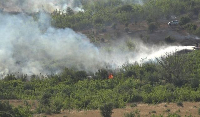 Kırklareli’nde ağaçlık alanda yangın: 150 dekar alan zarar gördü