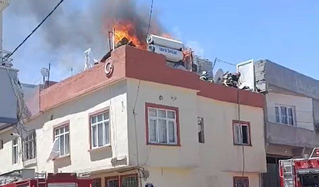Nizip’te odunluk yangını paniğe neden oldu