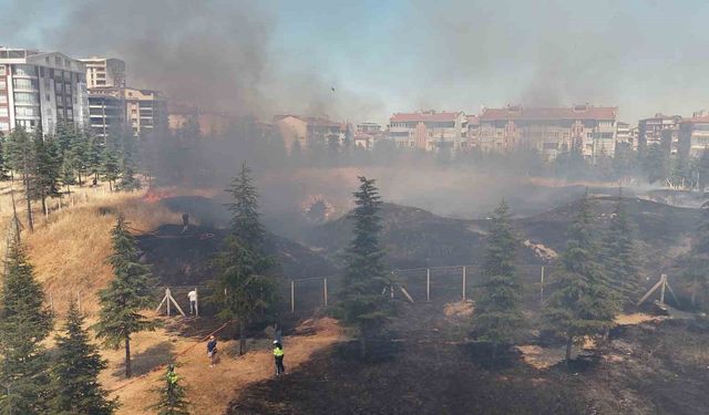 Edirne’de çıkan yangın tarihi tabyaya zarar verdi