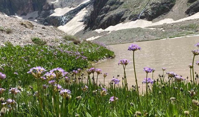 Cilo Dağı’nda buzullar hızla eriyor