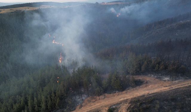 Balıkesir'de çıkan orman yangınına havadan ve karadan müdahale ediliyor
