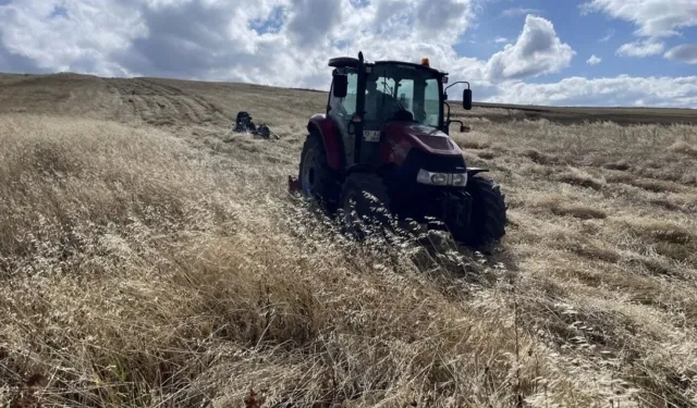 Ardahan'da ziraat mühendisleri sahada tarımsal ürün tespiti yaptı