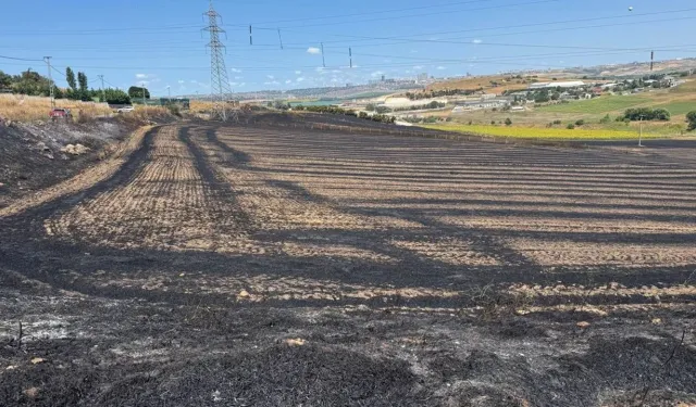 Büyükçekmece'de otluk ve ekili alanda çıkan yangın söndürüldü