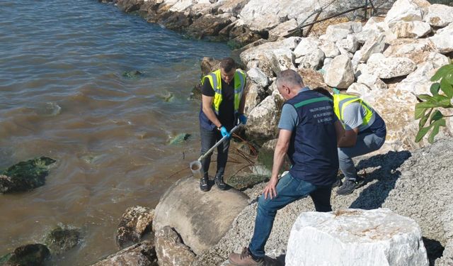 Yalova Belediyesi’ne Kanalizasyon Deşarjı Nedeniyle 1,3 Milyon TL Ceza