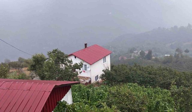 Şehir sıcaktan kavruldu, yaylada yağmur serinletti