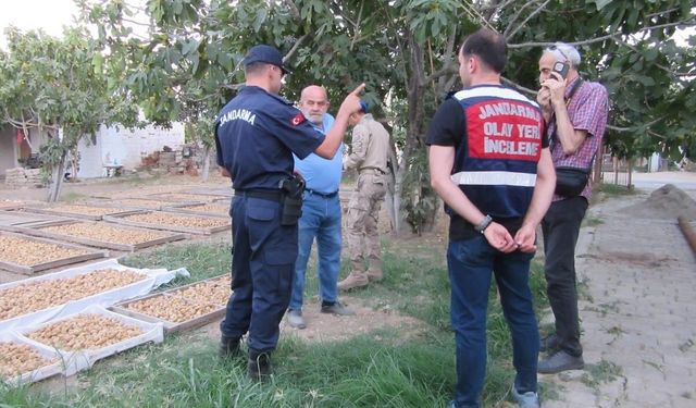 Germencik’te incir hırsızlığına karşı jandarmadan sıkı denetim