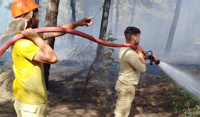 Alevlere Karşı Seferberlik: Orman Yangınlarını Önlemek İçin Neler Yapılmalı?