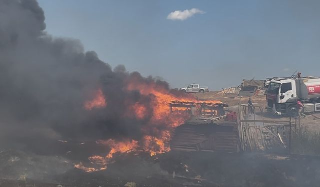 Tekirdağ’da besi çiftliğinde yangın