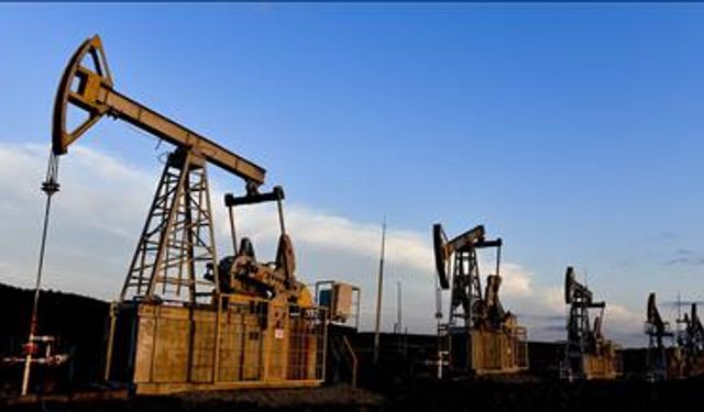 OPEC'in ham petrol üretimi temmuzda günlük 263 bin varil arttı