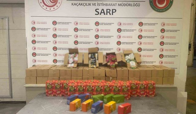 Sarp Gümrük Kapısı ve İstanbul’da 601 kilo uyuşturucu ele geçirildi