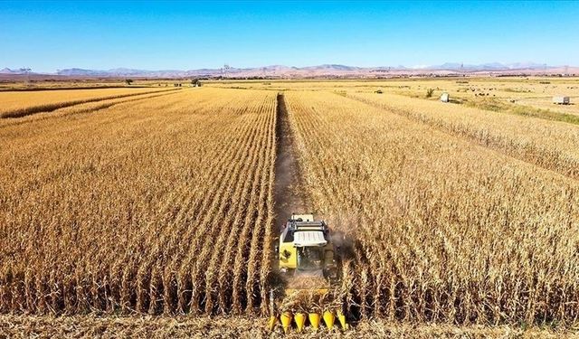 Tarım ÜFE ağustosta aylık bazda yüzde 3,45 azaldı