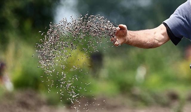 Türk tohumculuk sektörünün hedefi dünyada ilk 5'e girmek