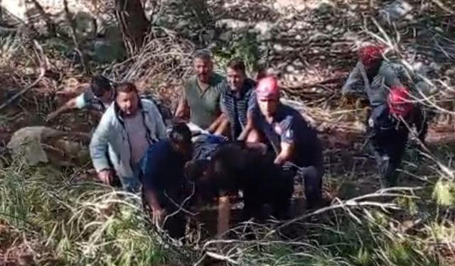 Kamyon uçuruma yuvarlandı: Sürücü hayatını kaybetti