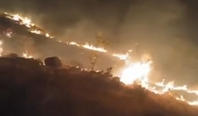 Emirgazi'de mera yangını