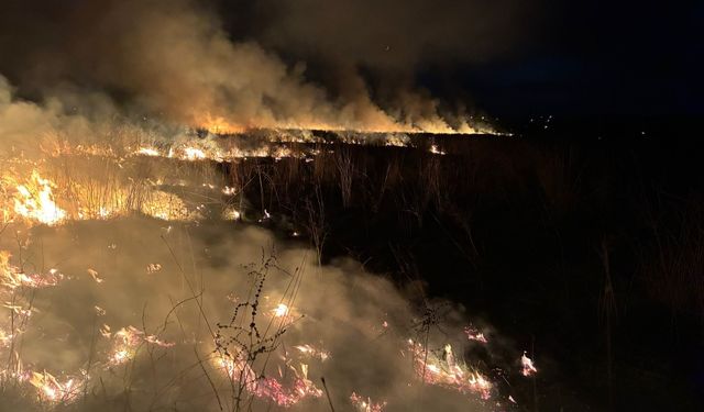 Susurluk’ta arazi yangınına hızlı müdahale
