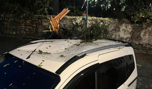 Fırtınanın devirdiği ağaç park halindeki aracın üzerine düştü
