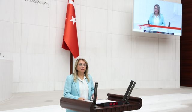 MHP Grup Başkanvekili Filiz Kılıç: "Ne Gazze yalnızdır, ne Filistin sahipsizdir, ne Türk milleti sessizdir"