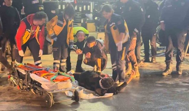 Edirne'de kaçan sürücü polis aracına çarptı: 2 yaralı