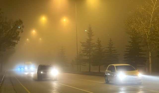 Erzurum'da yoğun sis etkili oluyor